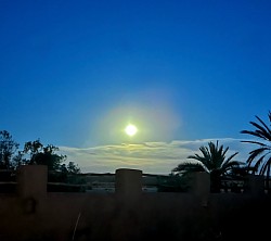 Sunset over the Palm Grove