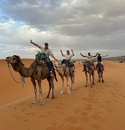 Camel ride at sunset