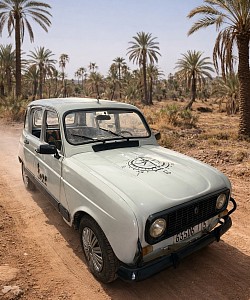 Exploring the palm grove behind the wheel of a vintage Renault 4L.