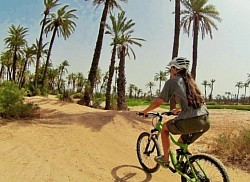Visit the palm grove by mountain bike