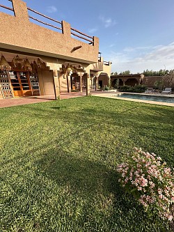 Grass
