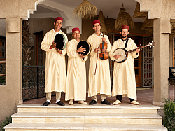 Musicians