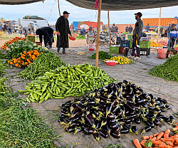 Fresh and local fruits and vegetables