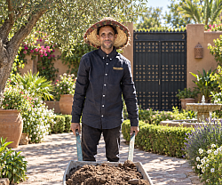 Ralid the gardener